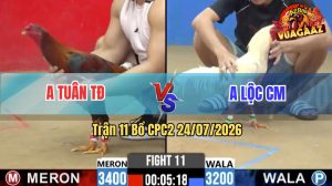 Trận 11 CPC2 24/07/2026 – Gà Điều Cọp Anh Tuân Đâm Cựa Như Sát Thủ