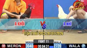 Trận 11 CPC2 28/07/2026 – Anh Khôi Lụm Anh Nhí Vì Tội Chấp Ngông