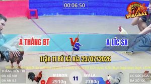Trận 11 Xà Xía 23/07/2026 – Anh Thắng Gặp Anh Líc, Trận Hoà Hợp Lý