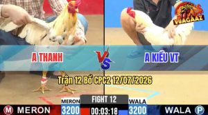 Trận 12 CPC2 12/07/2026 – Anh Thanh Đánh Bại Anh Kiều Trong Khó Khăn