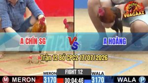 Trận 12 CPC2 17/07/2026 – Gà Anh Hoàng Có Đòn Cựa Quá Tịch