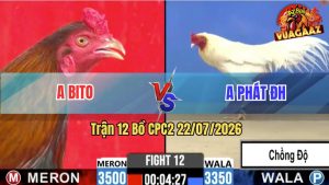 Trận 12 CPC2 22/07/2026 – Anh Phát Đức Hoà Chồng Độ Gôm Bồ C2