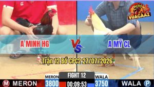 Trận 12 CPC2 27/07/2026 – Gà Úa Anh Mỹ Thắng Trong 3 Chân Cựa