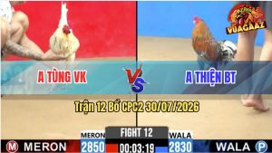 Trận 12 CPC2 30/07/2026 – Gà Xám Anh Thiện Gồng Gánh Tới Phút Cuối