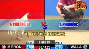 Trận 13 CPC2 13/07/2026 – Gà Bướm Anh Phương Đâm Cựa Thấy Nóng Lạnh