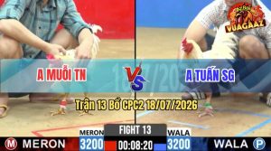 Trận 13 CPC2 18/07/2026 – Gà Anh Tuấn Sài Gòn Có Chân Xạo Lờ