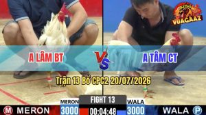 Trận 13 CPC2 20/07/2026 – Gà Anh Lâm Có Pha Cứu Chủ Quá Hay