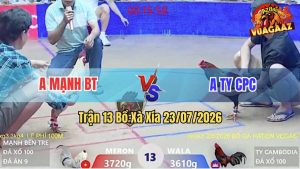 Trận 13 Xà Xía 23/07/2026 – Gà Anh Ty Gồng Gánh Cứu Chủ Thành Công