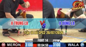 Trận 14 CPC2 20/07/2026 – Anh Trung Làm Thịt Anh Dũng Dễ Dàng