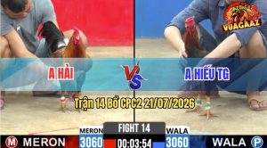 Trận 14 CPC2 21/07/2026 – Gà Anh Hải Gồng Gánh Cứu Chủ Quá Hay