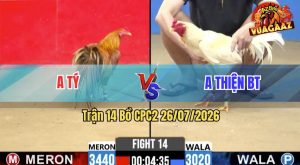 Trận 14 CPC2 26/07/2026 – Anh Thiện BT Chấp Anh Tý 4 Chấm Vẫn Về Bờ