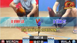 Trận 14 CPC2 27/07/2026 – Anh Vinh Siết 1 Hơi Hạ Anh Tâm Dễ Dàng