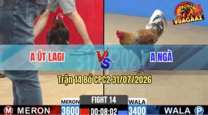 Trận 14 CPC2 31/07/2026 – Anh Ngà Đá Không Cho Anh Út Cơ Hội Nào