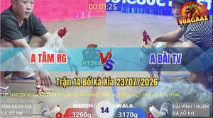 Trận 14 Xà Xía 23/07/2026 – Anh Đài Đá Anh Tâm Không Có Đường Phản