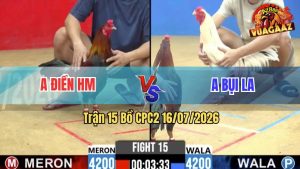 Trận 15 CPC2 16/07/2026 – Chưa Thả Gà Anh Bụi Bị Dí Ăn 5 Và Cái Kết
