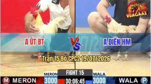 Trận 15 CPC2 19/07/2026 – Gà Anh Điền HM Đá Đâm Toàn Cựa Tịch