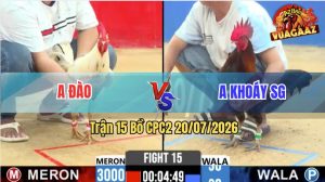Trận 15 CPC2 20/07/2026 – Gà Bướm Anh Đào Cứ Nhấc Chân Là Có Cựa