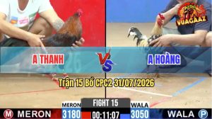 Trận 15 CPC2 31/07/2026 – Gà Điều Anh Thanh Gồng Gánh Chờ Phản Đòn