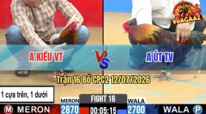 Trận 16 CPC2 12/07/2026 – Gà Điều Anh Út Trà Vinh Tải Cựa Quá Khủng