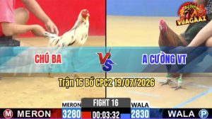 Trận 16 CPC2 19/07/2026 – Anh Cường Chấp Chú Ba Gần 5 Chấm Vẫn Lụm