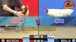 Trận 16 CPC2 26/07/2026 – Anh Tèo Đồng Nai Đánh Bại Chú Ba Dễ Dàng