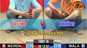 Trận 16 CPC2 28/07/2026 – Gà Điều Trắng Anh Li Ma Có Pha Phản Đòn Hay