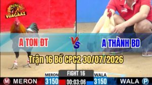 Trận 16 CPC2 Ngày 30/7/2026 Tại Vua Gà AZ