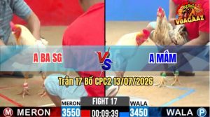 Trận 17 CPC2 13/07/2026 – Gà Bông Anh Mắm Đá Canh Chặn Quá Khôn Khéo