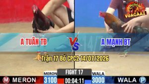 Trận 17 CPC2 14/07/2026 – Anh Tuân Đánh Bại Anh Mạnh Nhẹ Nhàng