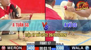 Trận 17 CPC2 20/07/2026 – Gà Điều Anh Tuấn Đá Cái Bo Như Xe Tải Đụng