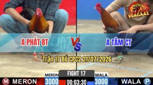 Trận 17 CPC2 21/07/2026 – Anh Bé Bến Tre Hôm Nay Gôm Bồ C2