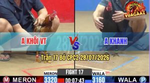 Trận 17 CPC2 28/07/2026 – Gà Anh Khanh Đá Nhanh Như Điện