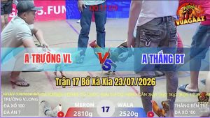 Trận 17 Xà Xía 23/07/2026 – Anh Trường Cố Cầm Hoà Trước Anh Thắng