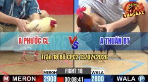 Trận 18 CPC2 13/07/2026 – Gà Úa Anh Phước Chợ Lách Tải Cựa Quá Tốt
