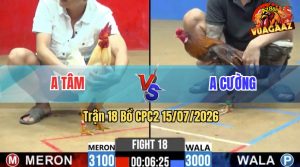 Trận 18 CPC2 15/07/2026 – Gà Bướm Anh Tâm Có Chân Cựa Chí Mạng