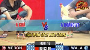 Trận 18 CPC2 19/07/2026 – Gà Điều Anh Khá Đá Bươi Chà Như Cái Máy