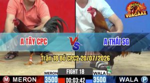 Trận 18 CPC2 20/07/2026 – Anh Tây CPC Hạ Anh Thái Trong 3 Chân Cựa