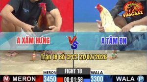 Trận 18 CPC2 21/07/2026 – Gà Điều Anh Bình Đá Chân Nào Cũng Có Cựa