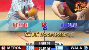 Trận 18 CPC2 23/07/2026 – Gà Điều Anh Khoa Đá Cái Bo Như Cây Đập
