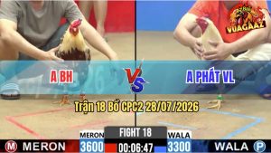 Trận 18 CPC2 28/07/2026 – Gà Cọp Anh Phát Không Cho Đối Thủ Đường Phản