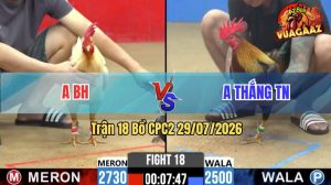 Trận 18 CPC2 29/07/2026 – Anh Thắng Bất Ngờ Bị Phản Đòn Thua Ngược