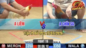Trận 19 CPC2 17/07/2026 – Gà Anh Chín Tung Tuyệt Chiêu Liên Hoàn Cước