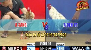 Trận 19 CPC2 19/07/2026 – Gà Cú Anh Sang Có Chân Cựa Cúp Điện