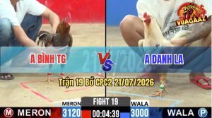 Trận 19 CPC2 21/07/2026 – Anh Nhân SG Hạ Anh Cường Trong 3 Cước