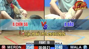 Trận 19 CPC2 29/07/2026 – Anh Bảo Chấp Ngông Bị Anh Chín SG Lụm