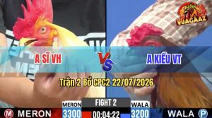 Trận 2 CPC2 22/07/2026 – Gà Que Anh Kiều Có Pha Cứu Chủ Quá Hay