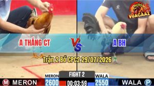 Trận 2 CPC2 29/07/2026 – Gà Chuối Đá Cựa Quá Ác, Gà Khét Hết Cứu