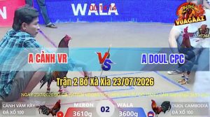 Trận 2 Xà Xía 23/07/2026 – Anh Kiểm Cà Mau Nài Gà Cho Anh Doul CPC