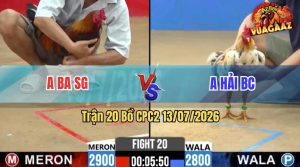 Trận 20 CPC2 13/07/2026 – Gà Bướm Anh Hải BC Siết 1 Hơi Lụm Tiền