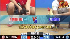 Trận 20 CPC2 23/07/2026 – Gà Chuối Anh Hoàng Nạp Cựa Tới Tấp